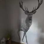 U Agi *